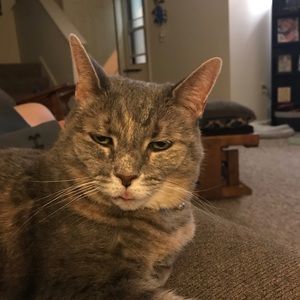 Meet your Posher, Logan